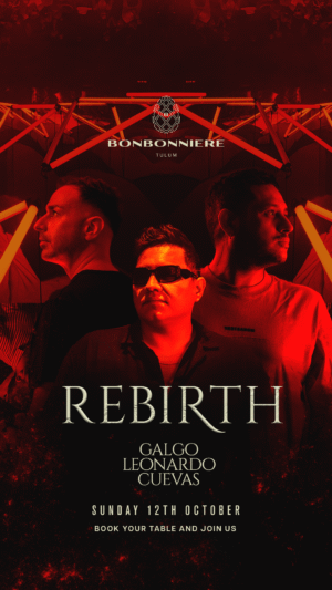 GALGO & MORE ARTISTS [REBIRTH] - by BONBONNIERE, TULÚM 🇲🇽
