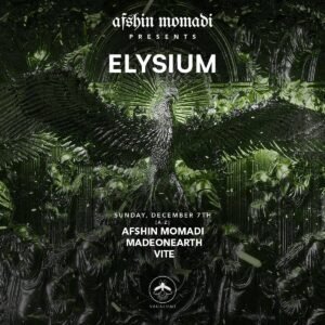 AFSHIN MOMADI & MORE ARTISTS [ELYSIUM] - by VAGALUME, TULÚM 🇲🇽