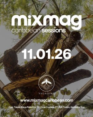 ARTISTS TBA [MIX MAG] - by VAGALUME, TULÚM 🇲🇽