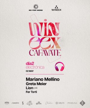 ⭐ MARIANO MELLINO & MORE ARTISTS [DIA 2 - ELECTRONICA] - by WINEEX, CAFAYATE 🇦🇷