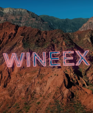 ⭐ ARTISTS TBA [DOUBLE DATE] - by WINEEX, CAFAYATE 🇦🇷