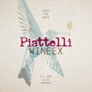 ⭐ ARTISTS TBA [PIATTELLI SESSION] - by WINEEX, CAFAYATE 🇦🇷