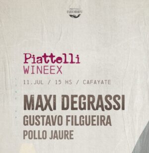 ⭐ MAXI DEGRASSI & MORE ARTISTS [PIATTELLI SESSION] - by WINEEX, CAFAYATE 🇦🇷